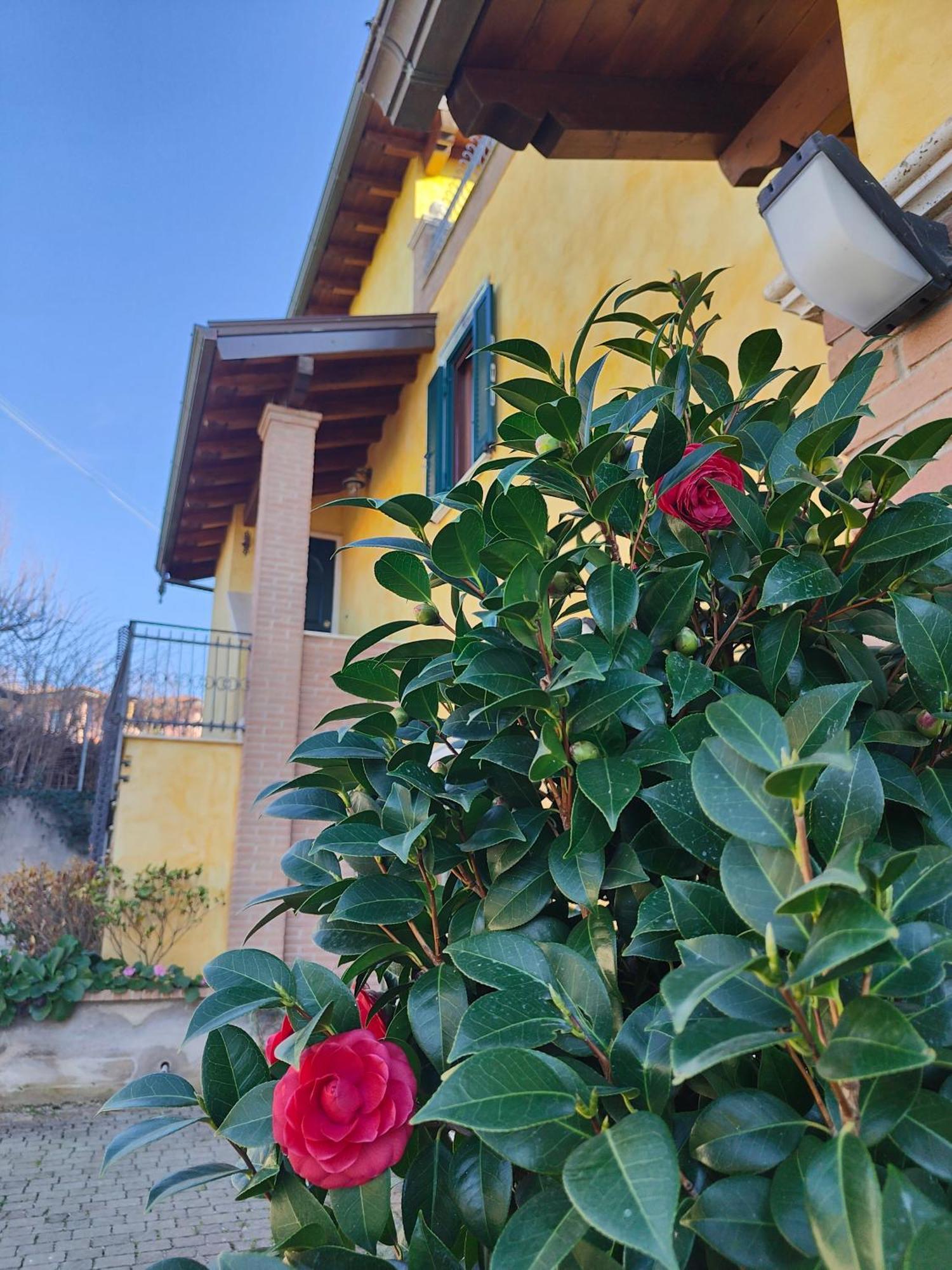 B&B Camera Delle Camelie ปาเลสตรินา ภายนอก รูปภาพ